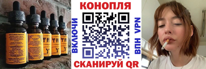 Canna-Cookies конопля Полярный