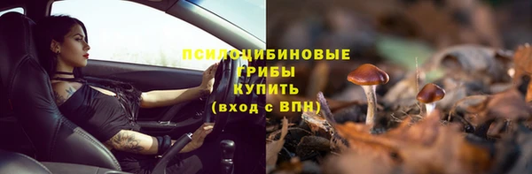 соль ск Аркадак