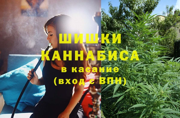 крисы Армянск