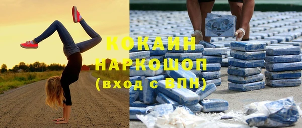 гидра Майский
