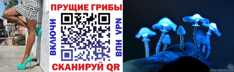 Псилоцибиновые грибы прущие грибы  даркнет сайт  Полярный 